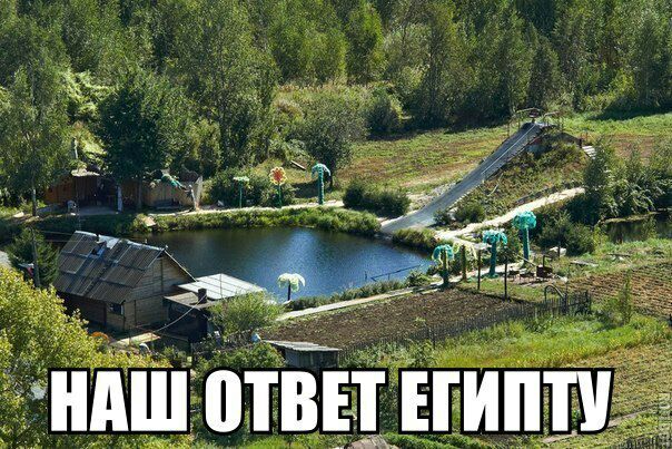 ц___ __37 ндшптвь1_вгипид_