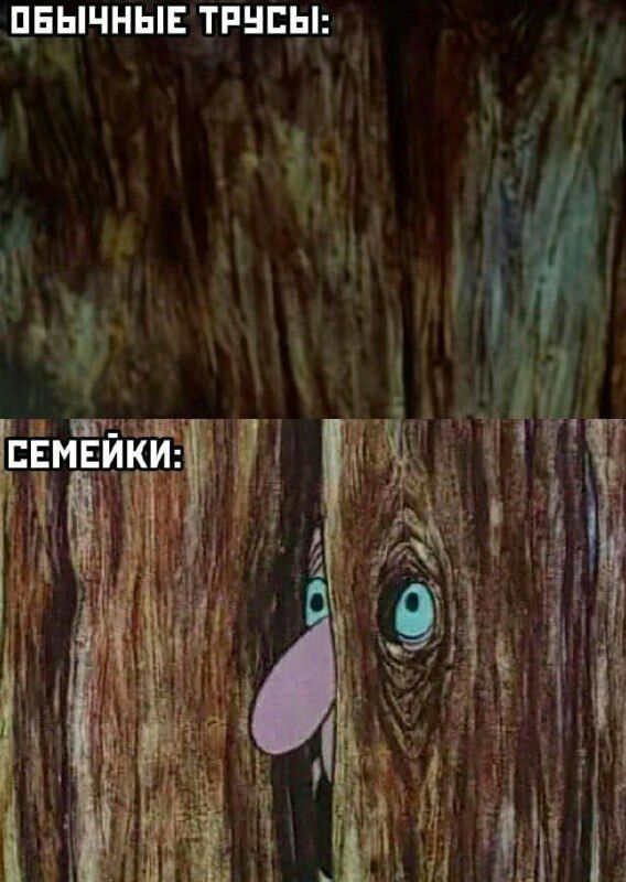 ПЕЫЧНЫЕ ТРНЕЫ