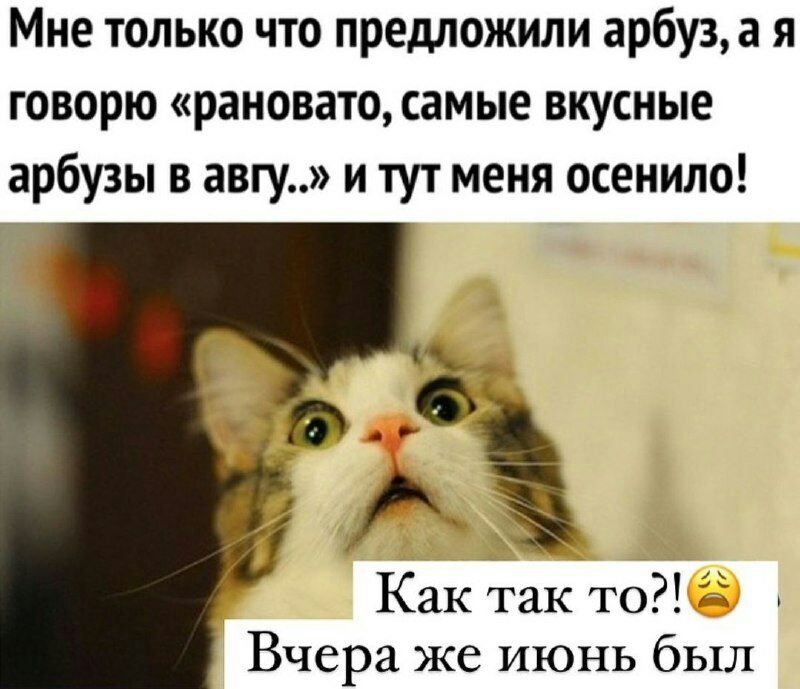 Мне только что предложили арбуза я говорю рановато самые вкусные арбузы в авгу и тут меня осенила Как так то Вчера же июнь был