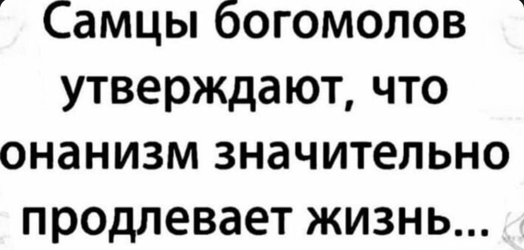 Самцы богомолов утверждают что онанизм значительно продлевает жизнь