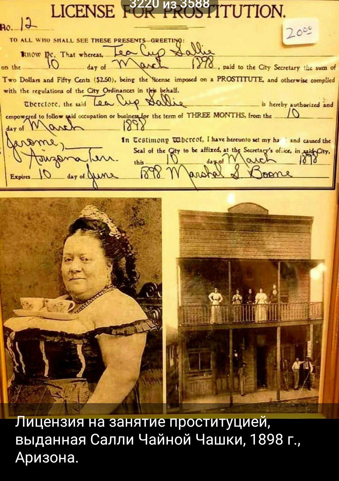 ысшэв типом _ Лицензия на занятие проституцией выданная Саппи Чайной Чашки 1898 г Аризона