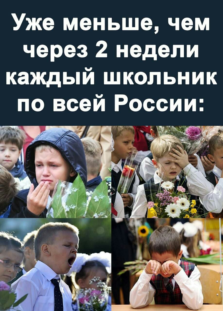 Уже меньше чем через 2 недели каждый школьник по всей России 5 3