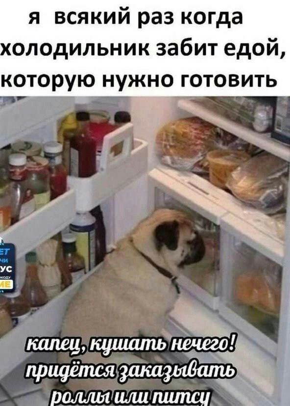 я всякий раз когда олодильник забит едой которую нужно готовить