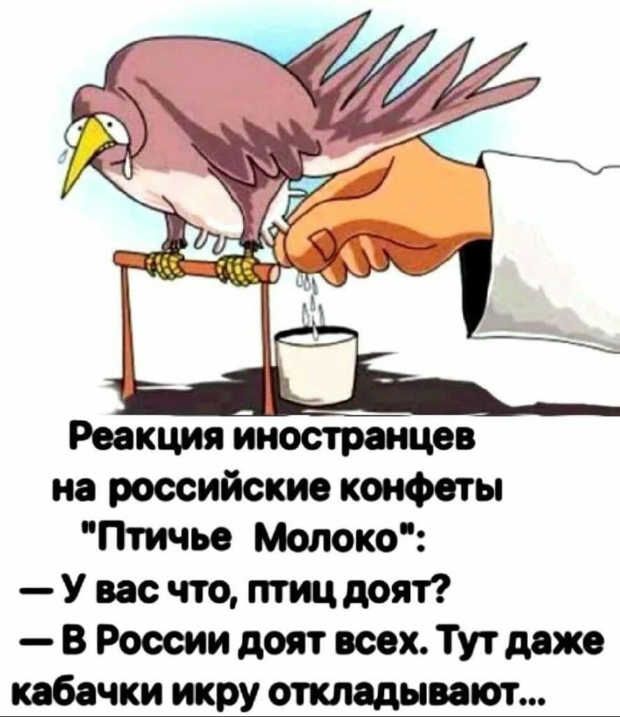 Реакция иностранцев на российские конфеты Птичье Молоко У вас что птиц поят В России доят всех Тут даже бачки икру откладывают