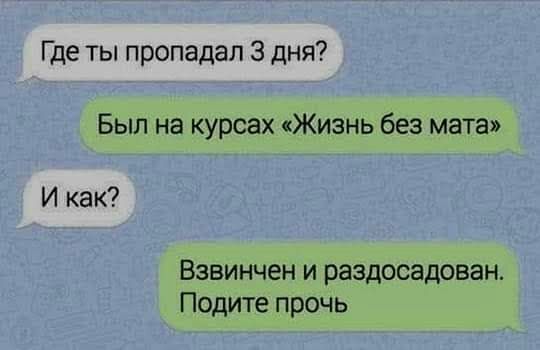 Где ты пропадал 3 дня Был на курсах Жизнь без мата И как Взвинчен и раздосадован Подите прочь