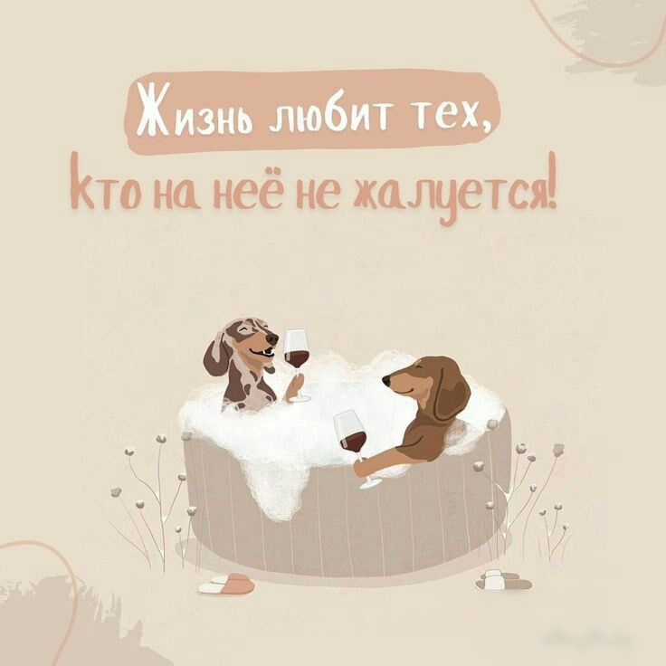 _ Кто на неё не ищется