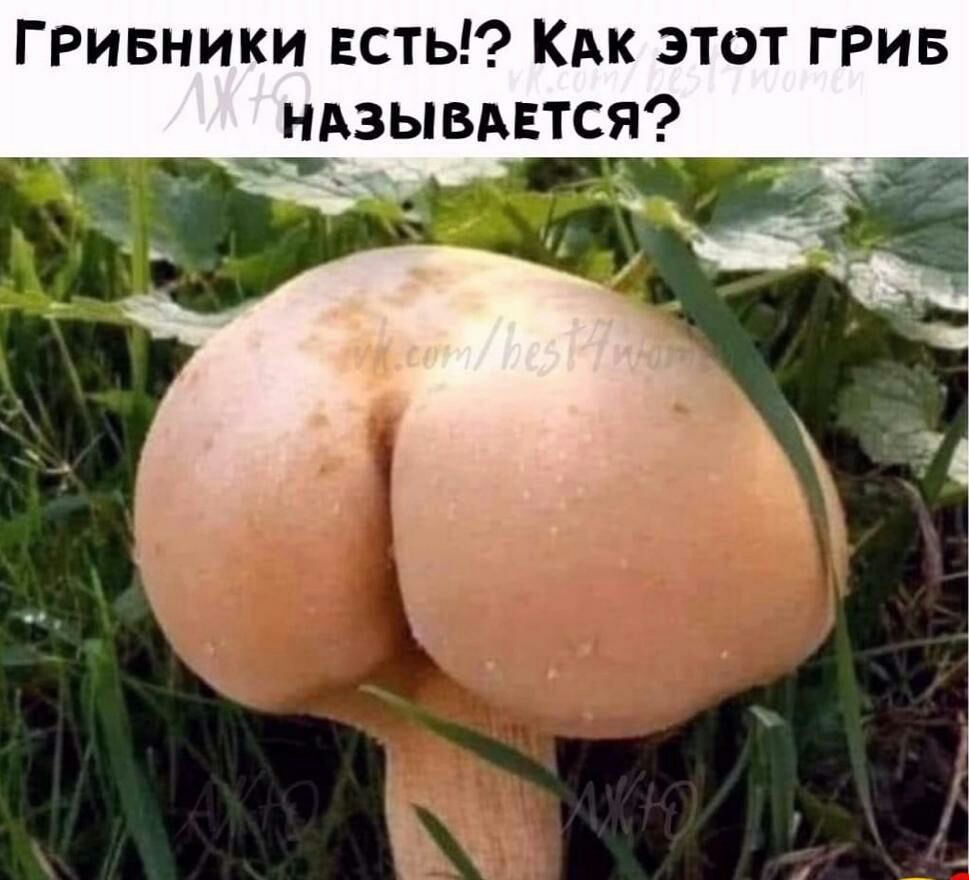 ГРивники есть КАк этот грив ндзывдвтся О
