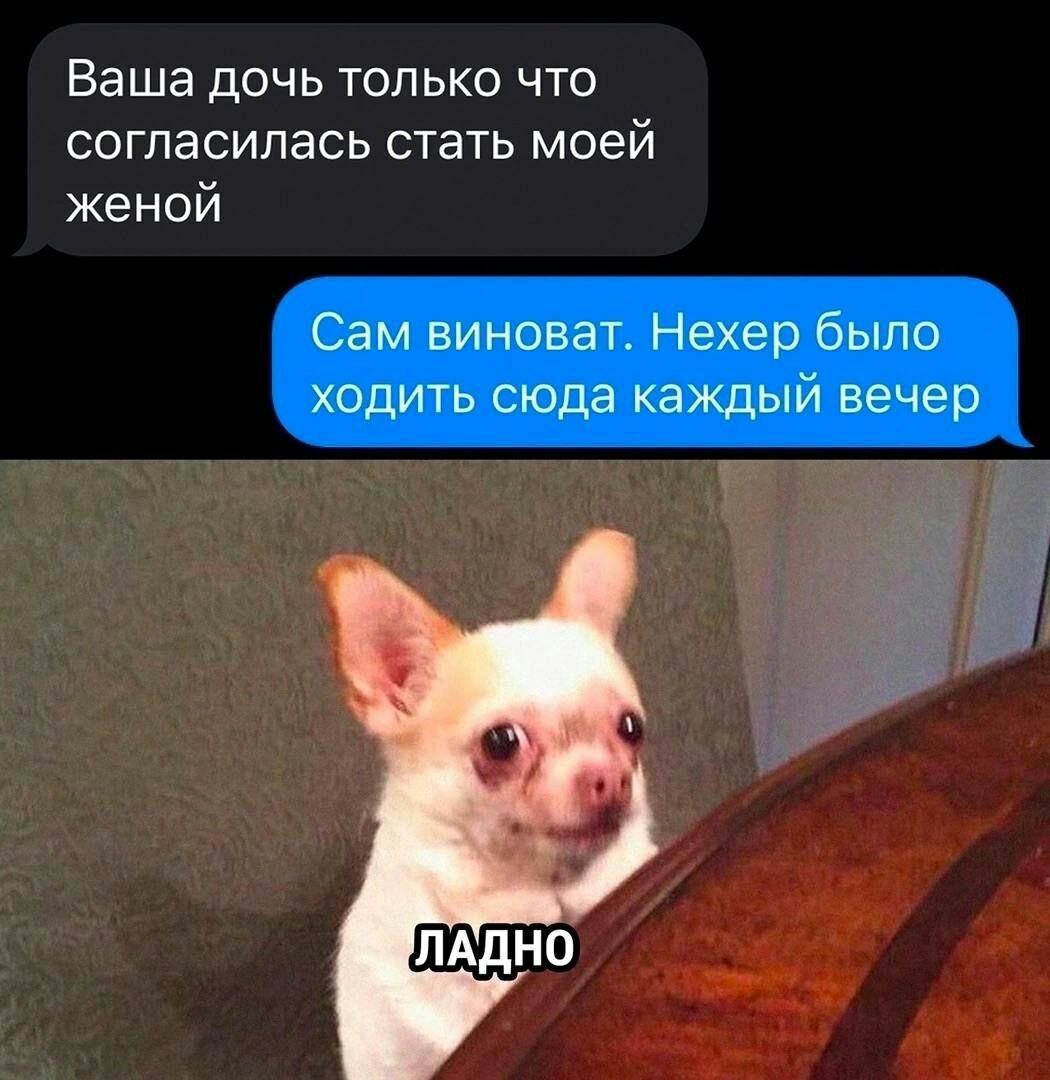 Ваша дочь только что согласилась стать моей женой