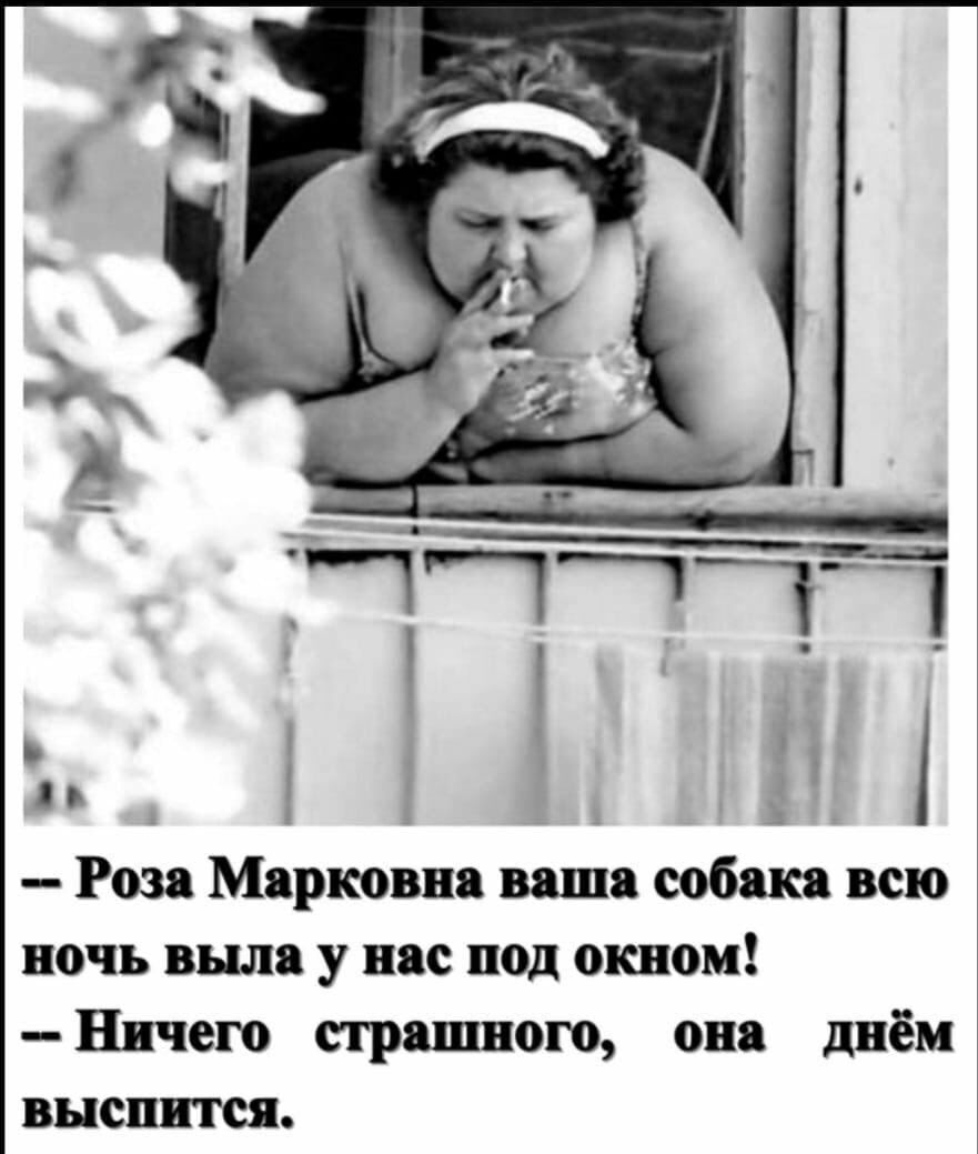 Роза Морковня вяш собака всю ночь вши у нас под окном Ничего страшного он днём выспнтся