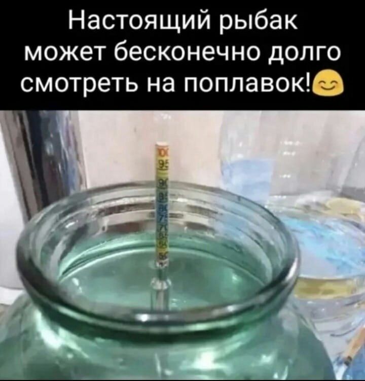 Настоящий рыбак может бесконечно долго смотреть на поплавока