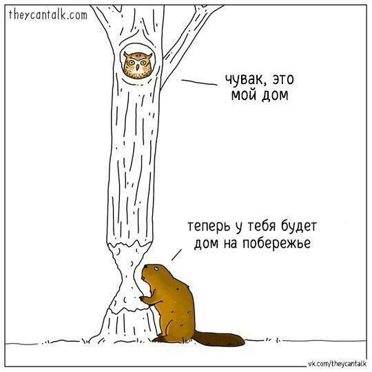 чувак это мой дом теперь у тебя будет дом на ппбережье щнш