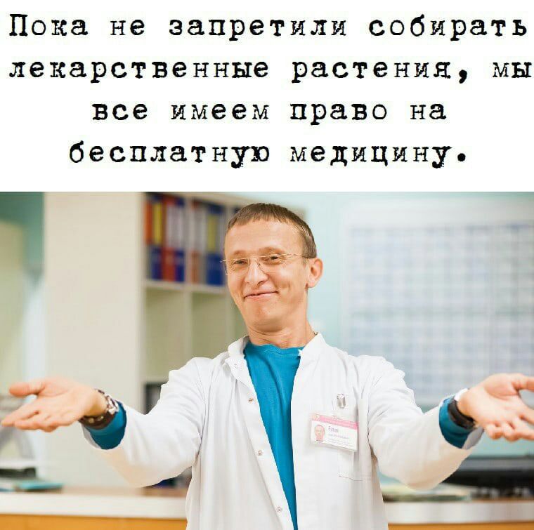 Пока не запретили собирать лекарственные растения мы все имеем право на бесплатную медицину т З
