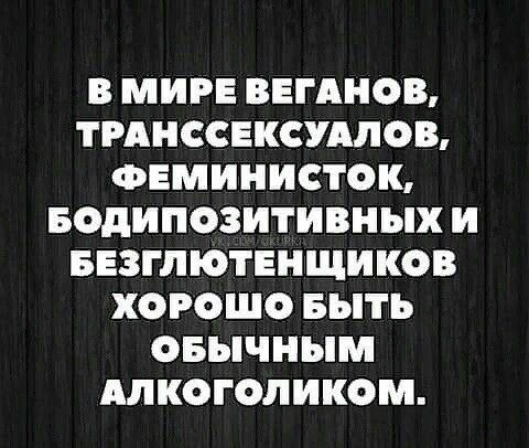 В МИРЕ ВЕГАНОВ ТРАНССЕКСУАЛОВ ФЕМИНИСТОК БОдИПОЗИТИВНЫХ И БЕЗГЛЮТЕНЩИКОВ ХОРОШО БЫТЬ ОБЫЧНЫМ АЛКОГОЛИКОМ