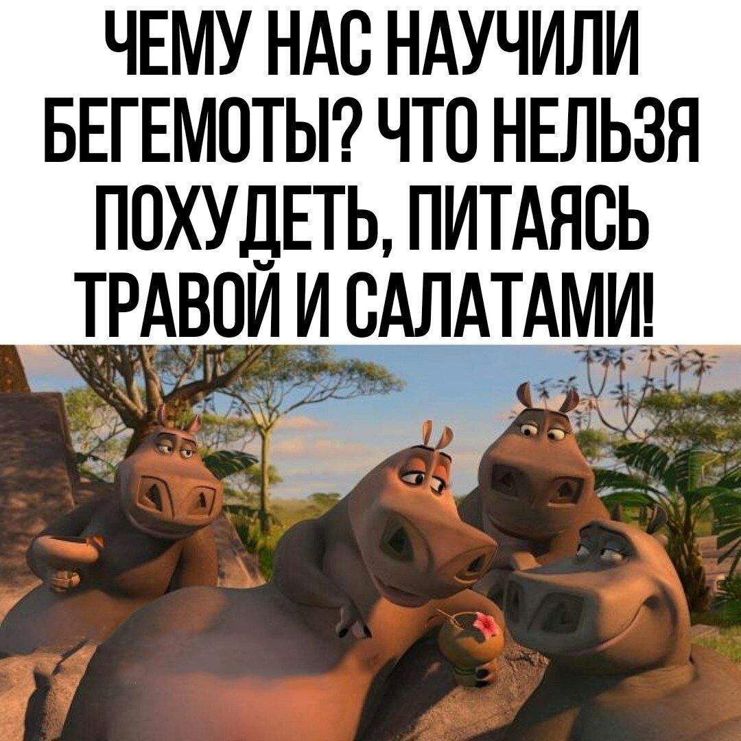 ЧЕМУ НАС НАУЧИЛИ БЕГЕМОТЫ ЧТО НЕЛЬЗЯ ПОХУДЕТЬ ПИТАЯБЬ ТРАВПЙ Й ВАЛАТАМЙ Ё__е _