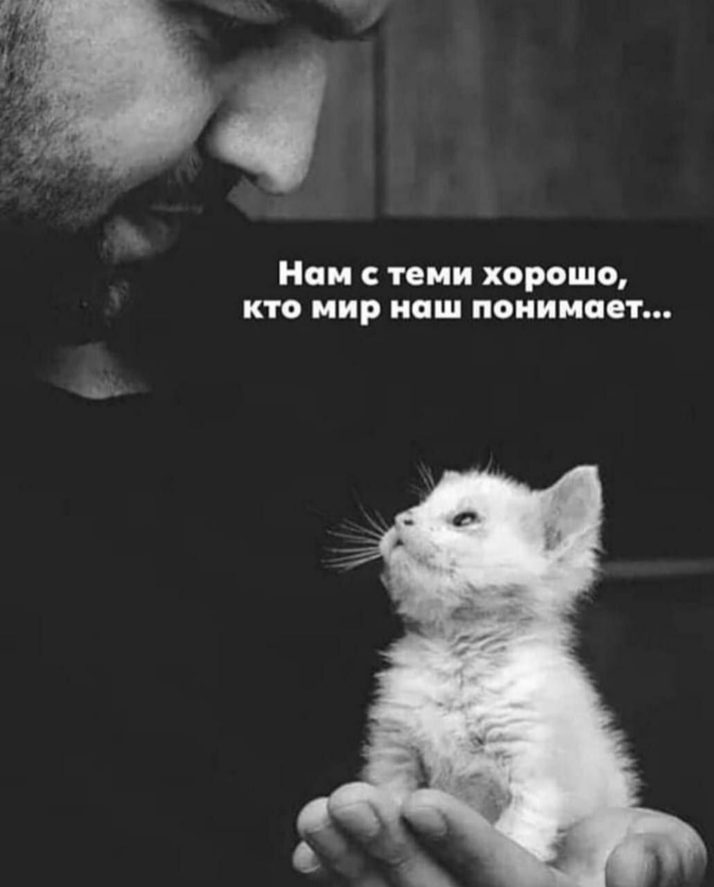 Нам твии хорошо но мир наш понимает