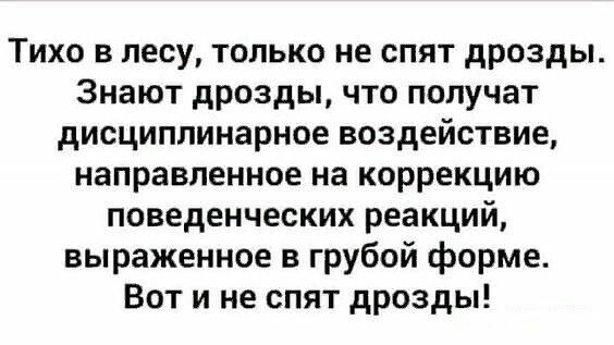 Тихо в лесу только не спят дрозды Знают дрозды что получат дисциплинарное воздействие направленное на коррекцию поведенческих реакций выраженное в грубой форме Вот и не спят дрозды