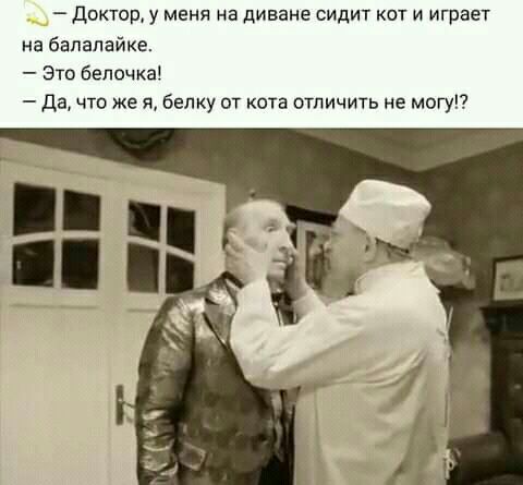 допор у меня на диване сидит кот и играет на балалайка Это белочка да что же я белку от кота отличить не магу7