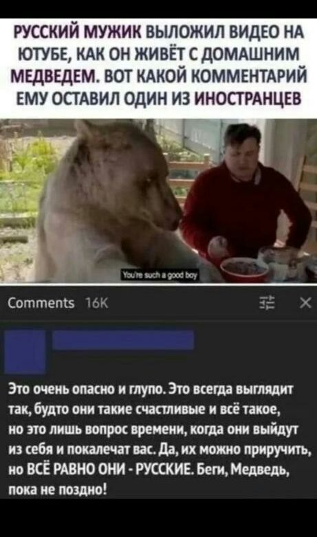 русский мужик выложил видво НА ютуы кдк он живёт с домдшним мвдввдвм вот КАКОЙ комментдрий ЕМУ остдвип один из иносгрднцвв Соттепкз Эго очень опт и тупо Эт цепи штиля так будто они пише шалит и всё иное не но лишь подрос крепежными джи выйдут из себя и штат жда и типо приручить ио ВСЁ РАВНО ОНИ РУССКИЕ Беги Медведь пока не пошив