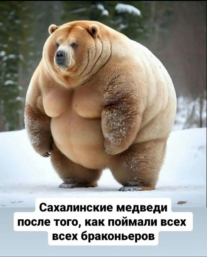 Сахалинские медведи после того как поймали всех всех браконьеров