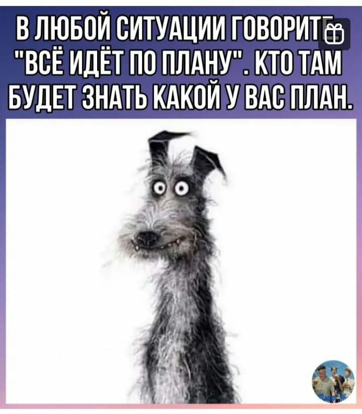 В ЛЮБВИ СИТУАЦИИ ГПВПРИТЕБ ВСЕ ИДЕТ ПО ПЛАНУ КТП ТАМ БУДЕТ ЗНАТЬ КАКПИ У ВАС ПЛАН