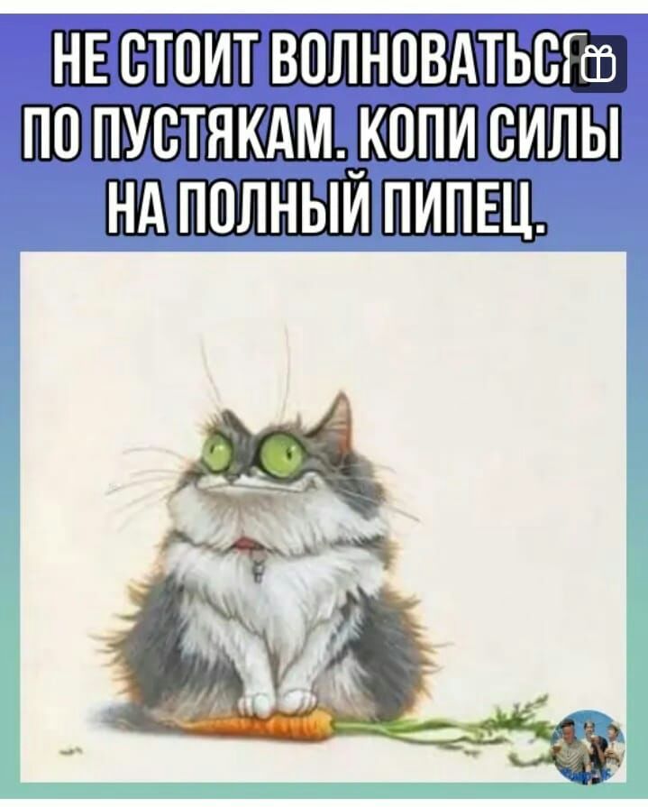 _ ЕЁШШ1 ШППЩ