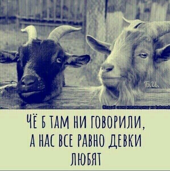 чгидм ни тащили А ндс ш гдвно дыши люъят