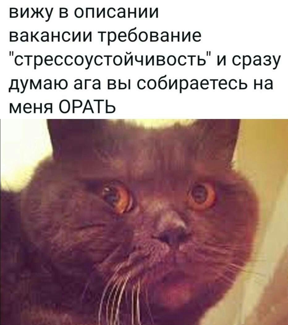 вижу в описании вакансии требование стрессоустойчивость и сразу думаю ага вы собираетесь на меня ОРАТЬ
