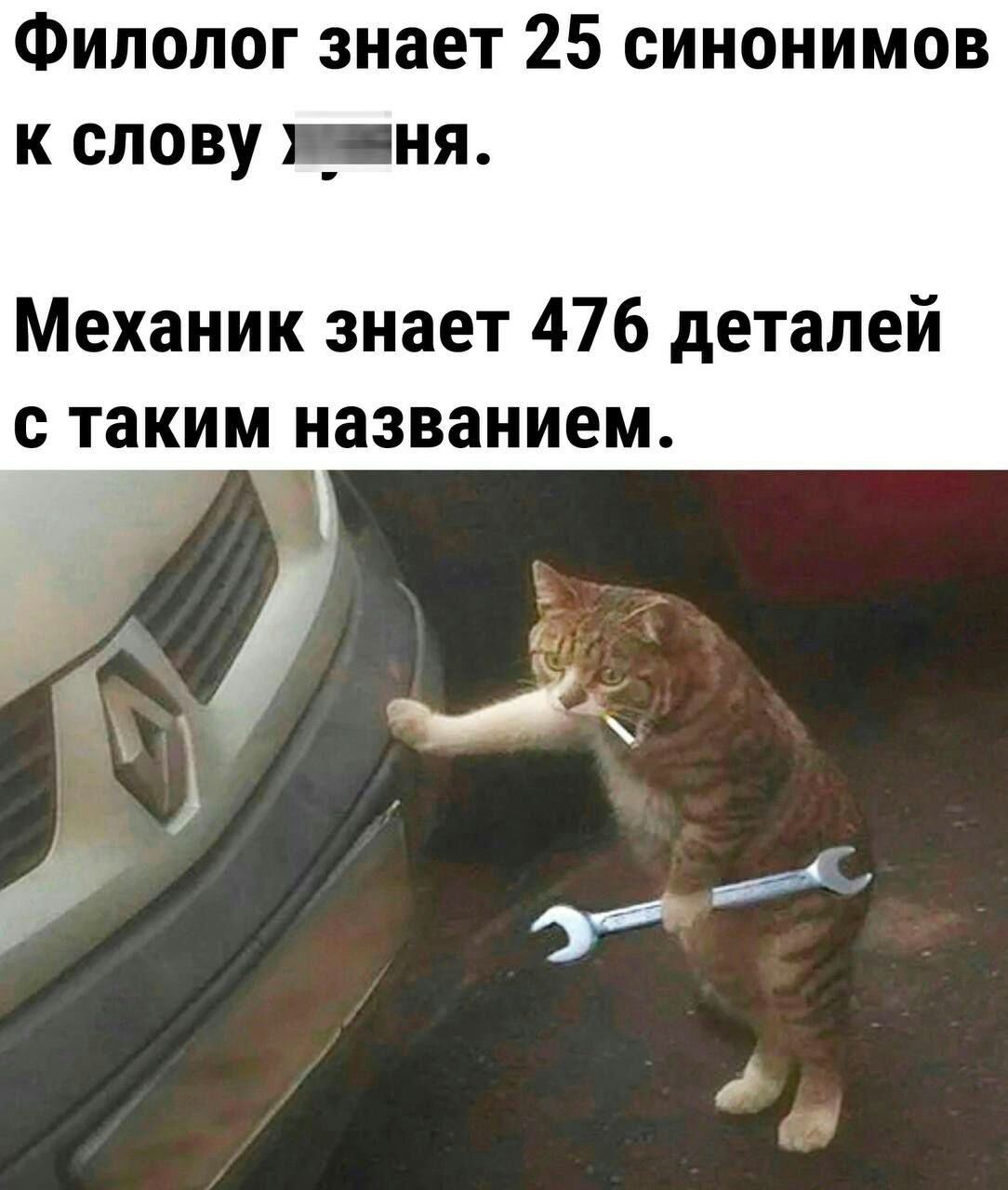 Филолог знает 25 синонимов к слову _ня Механик знает 476 деталей с таким названием