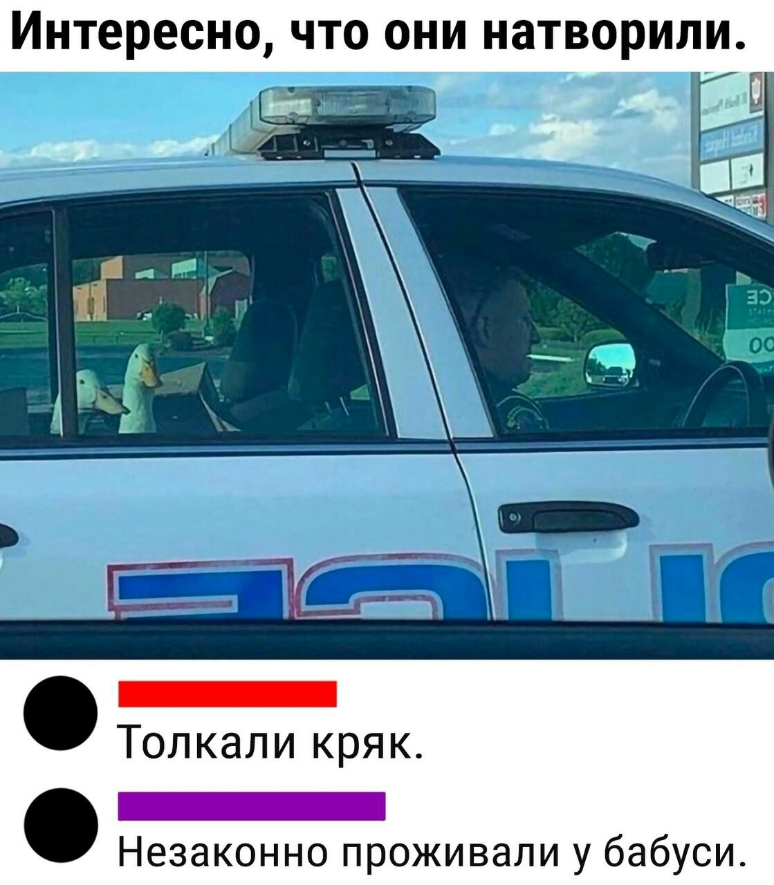 Интересно что они натворили _ Незаконно проживали у бабуси