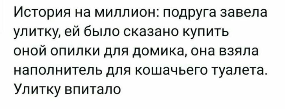 ИСТОРИЯ на МИЛЛИОН подруга завела уп итку ей было сказано купить оной опилки дпя домика она взяла НЭПОПНИТЕПЬ ДЛЯ КОШЗЧЬЕГО туалета Ул итку впитало