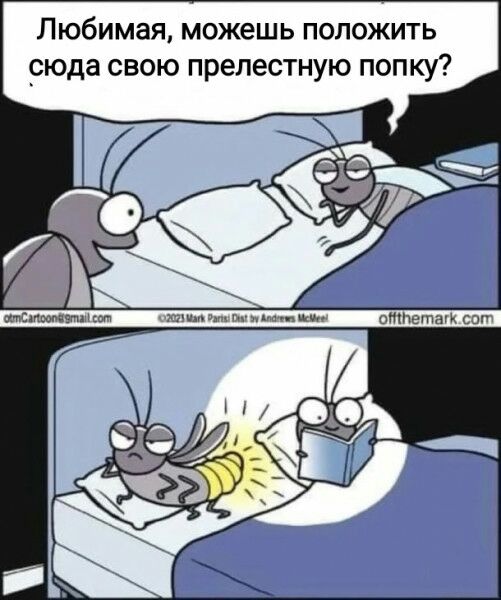 Любимая можешь положить _сюда свою прелестную попку