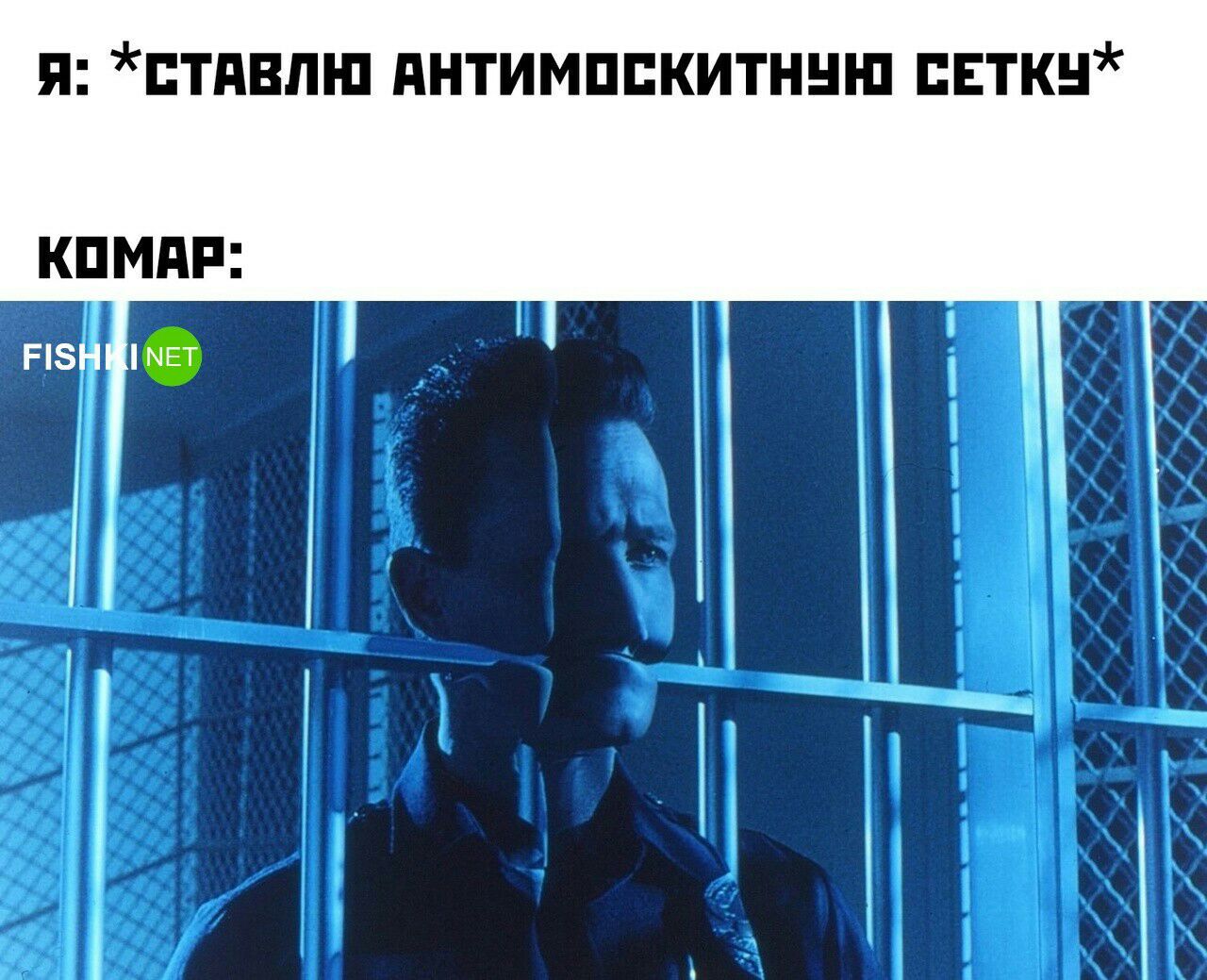п тдвшп питимппкитншп пики
