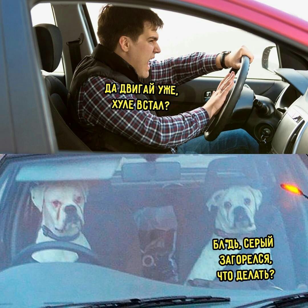 ЁЗЁТЁЖ ЧТОЛЕМТП