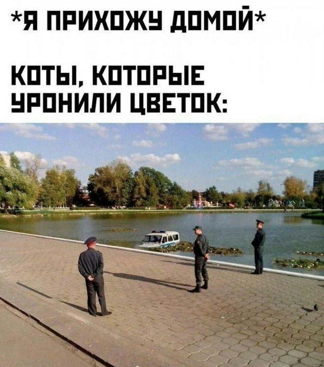 я ппихпжн дпмпй КПТЫ КПТПРЫЕ НРПНИПИ ЦВЕТПК 12 __ ___ Щ