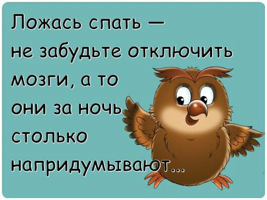 Лождсь спать не забудьте отключить мозги и то они за ночь столько напридум _