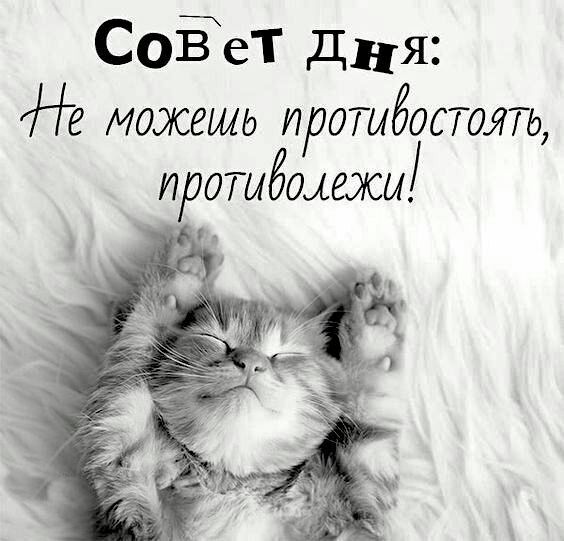 СоЁет дня можешь иротыбостоягь ирошбщежи