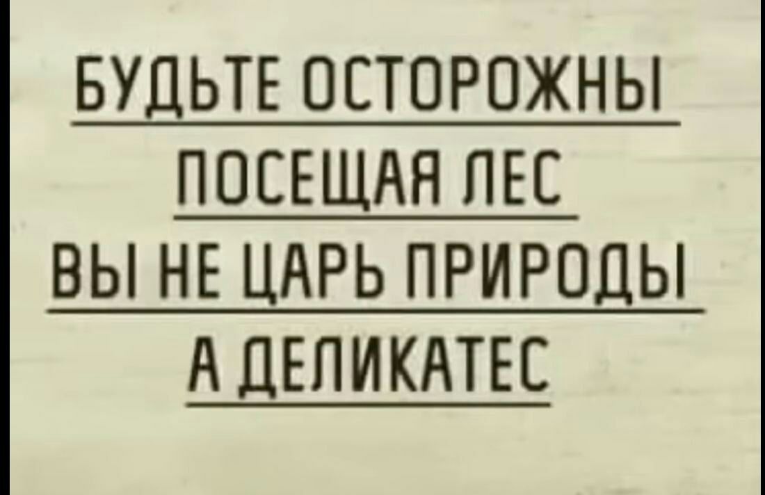 БУДЬТЕ ОСТОРОЖНЫ ПОСЕЩАН ПЕС ВЫ НЕ ЦАРЬ ПРИРОДЫ А ДЕПИКАТЕС