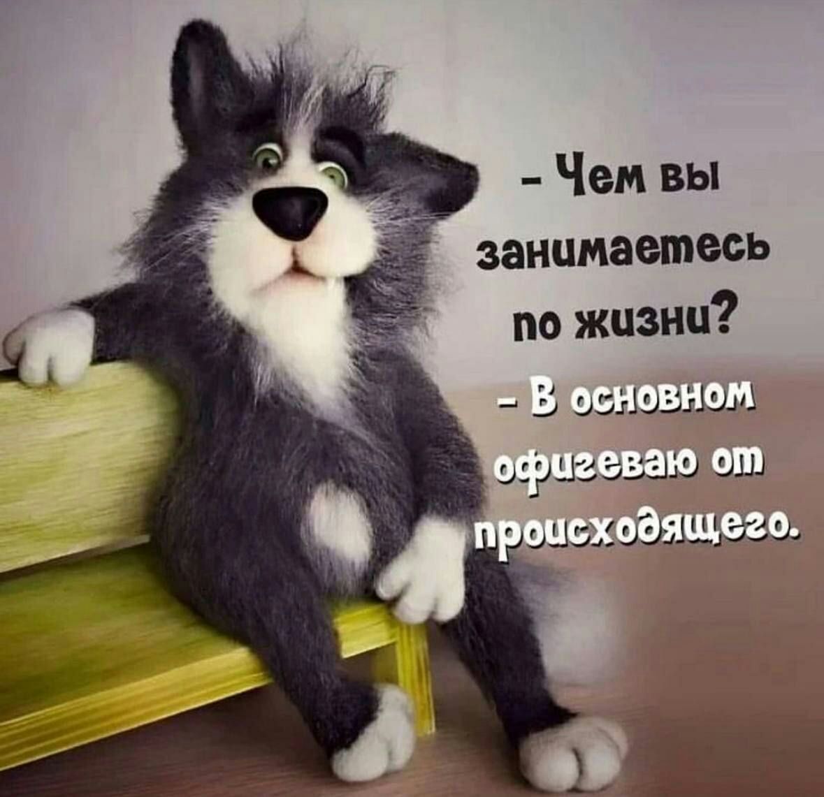 Чем вы занимаетесь по жизни