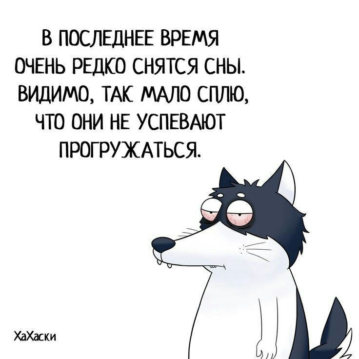 В ПОСЛЕДНЕЕ ВРЕМЯ ОЧЕНЬ РЕДКО СНЯТСЯ СНЫ ВИДИМВ ТАК МАЛО СПЛЮ ЧТО ОНИ НЕ УСПЕВАЮТ ПРОГРУЖАТЬСЯ