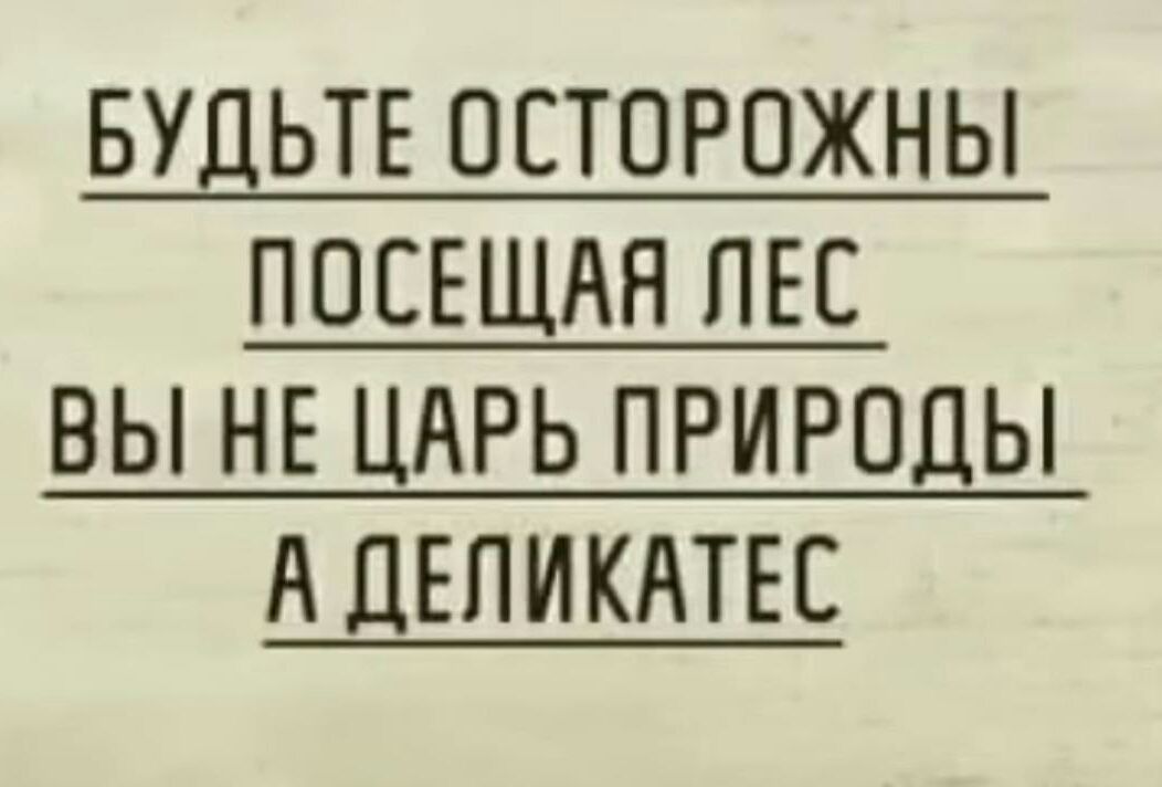 БУДЬТЕ ОЕТОРОЖНЫ ПОЕЕЩАН ПЕС ВЫ НЕ ЦАРЬ ПРИРОДЫ А ДЕПИКАТЕС