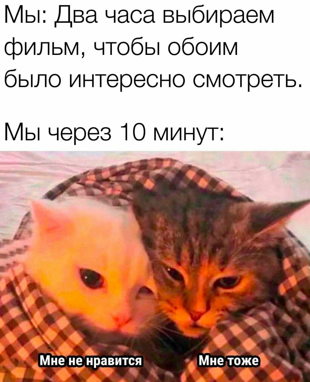 Мы Два часа выбираем фильм чтобы обоим было интересно смотреть Мы через 10 минут