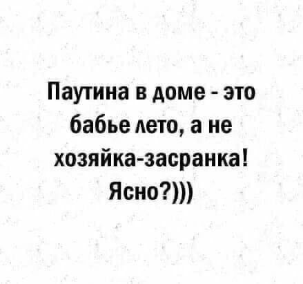 Паутина в доме это бабье лето а не хозяйказасранка Ясно