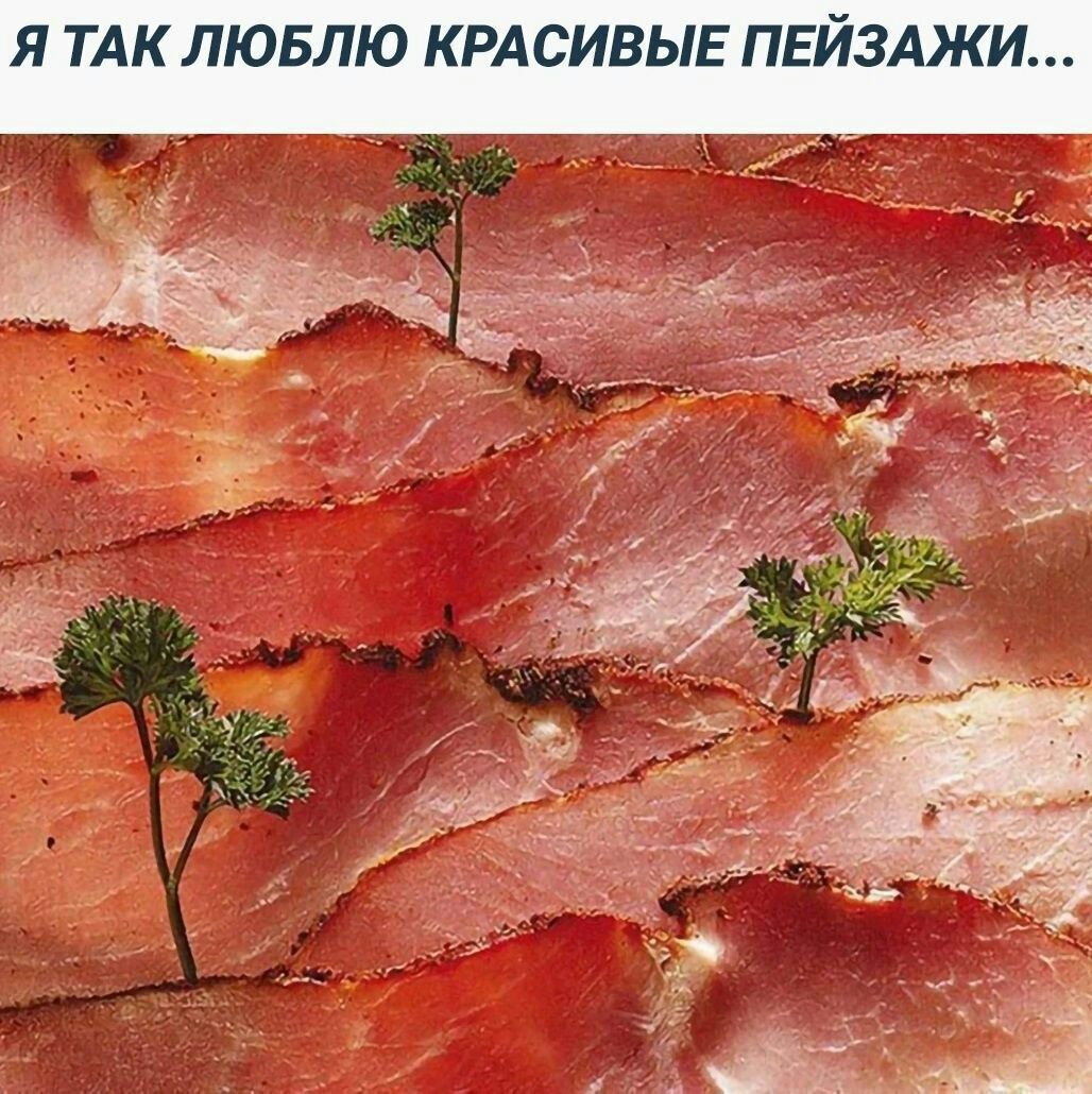 Я ТАК ЛЮБЛЮ КРАСИВЫЕ ПЕЙЗАЖ