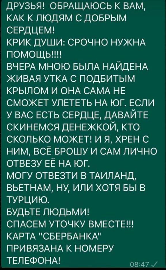 друзьяэ ОБРАЩАЮСЬ к ВАМ КАК к людям с доврым СЕРДЦЕМ крик души срочно НУЖНА помощыш ВЧЕРА мною БЫЛА НАЙДЕНА кивАя УТКА с подвитым крылом и ОНА САМА не сможет улететь НА юг если у ВАС есть сердце ДАВАЙТЕ скинемся денежкой кто сколько можетв и я хрен с ним все БРОШУ и САМ лично отвезу ЕЁ НА юг могу отвезти в ТАИЛАНД ВЬЕТНАМ НУ или хотя вы в турцию БУДЬТЕ ЛЮДЬМИ СПАСЕМ уточку вместе КАРТА СБЕРБАНКА П