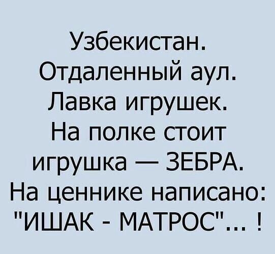 Узбекистан Отдаленный аул Лавка игрушек На полке стоит игрушка ЗЕБРА На ценнике написано ИШАК МАТРОС