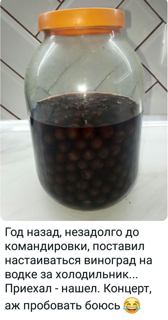 Год назад незадолго до командировки поставил настаиваться виноград на водке за холодильник Приехал нашел Концерт аж пробовать боюсь ы