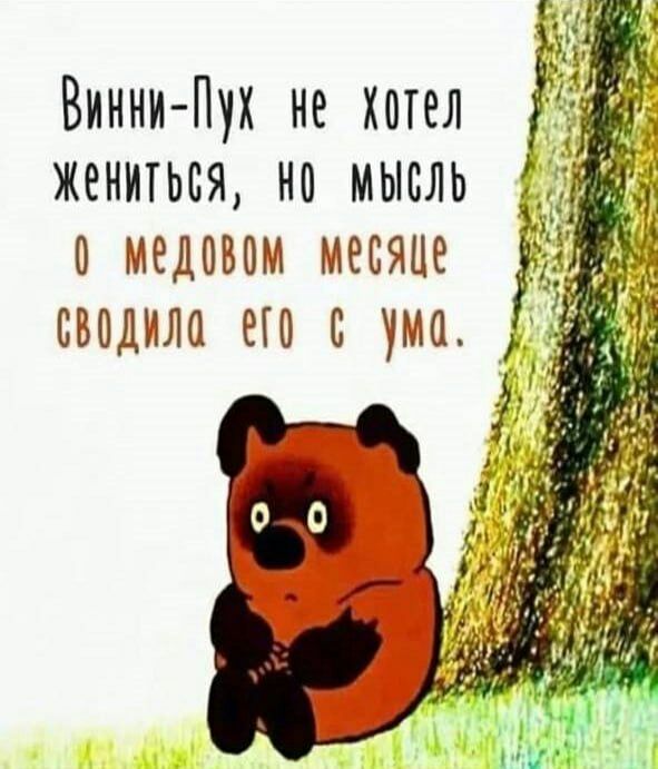 Винни Пух нехотел жениться но мысль и А медовом месяце _ вводила ето с ума