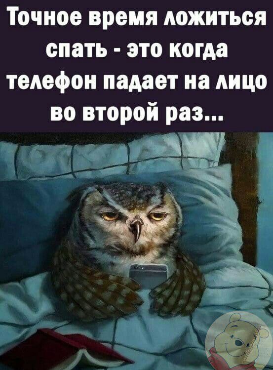 Точное время ложиться спать это когда телефон падает на лицо во второй раз