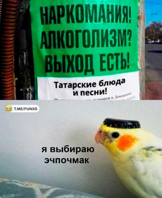 ЩРКПМЛНИЯ гппизмг _ ыиб раюч ЗЧПОЧМЁК в