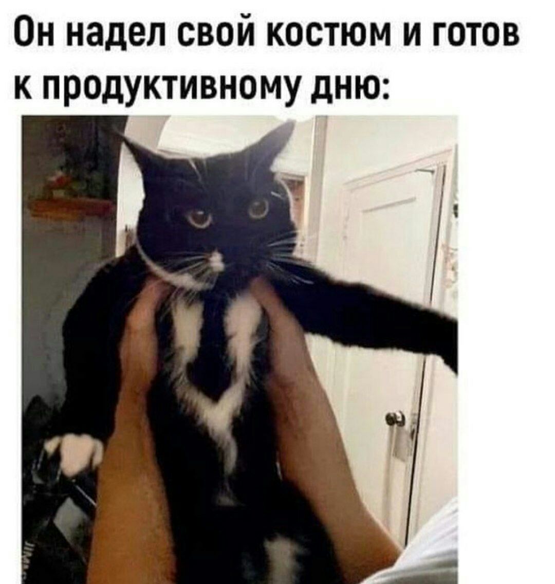 Он надел свой костюм и готов к продуктивному дню